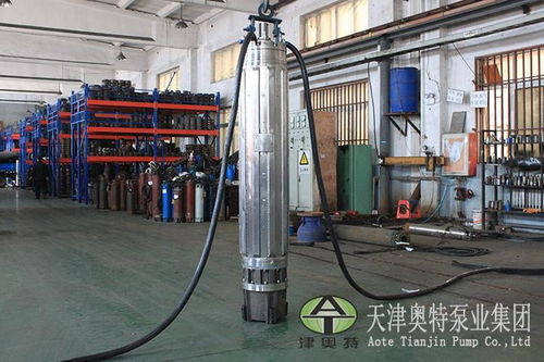 不銹鋼潛水電機現(xiàn)貨 五金機電領域的可靠選擇